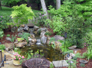 Koi Ponds & Water Gardens | Water Features by Hoaglandscape