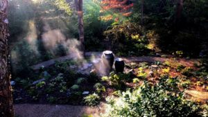 Sunlit garden path with mist and lush greenery.