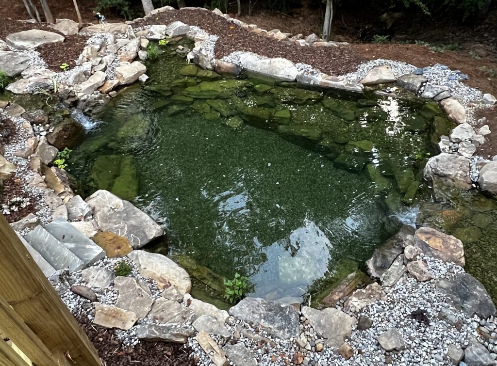 Backyard stone-lined pond with surrounding trees.