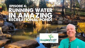 Episode 4: beautiful recreational pond with running water