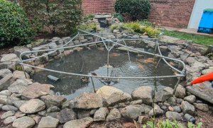 Garden pond with rocks and protective netting