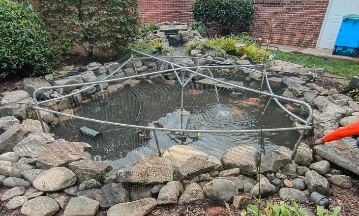 Garden pond with rocks and protective netting