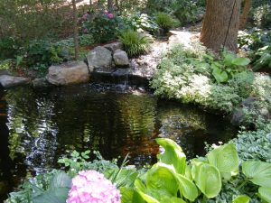 Peaceful garden pond with lush greenery and flowers.